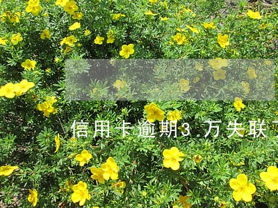 信用卡逾期3万失联了