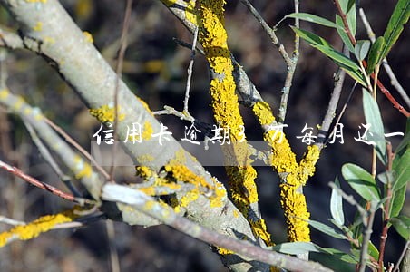 信用卡逾期3万每月还一点管用吗 信用卡逾期3万每月还一点管用吗