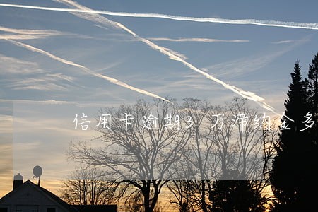 信用卡逾期3万滞纳金多少钱 信用卡逾期3万滞纳金多少钱