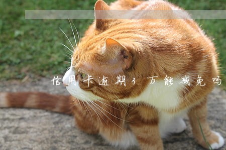 信用卡逾期3万能减免吗 信用卡逾期3万能减免吗