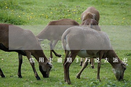 信用卡逾期3万说去派出所报到 信用卡逾期3万说去派出所报到