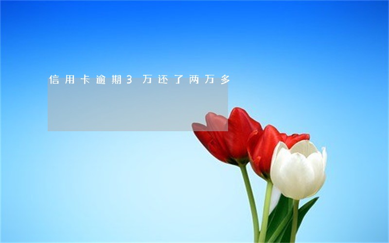 信用卡逾期3万还了两万多
