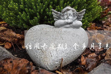 信用卡逾期3个多月了怎么办 信用卡逾期3个多月了怎么办