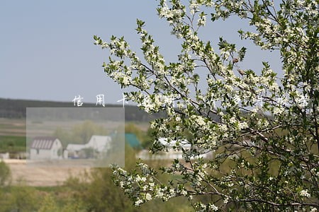 信用卡逾期3个多月报警 信用卡逾期3个多月报警