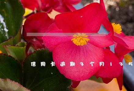 信用卡逾期3个月13500