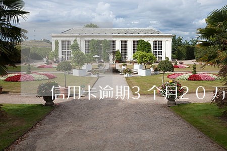 信用卡逾期3个月20万 信用卡逾期3个月20万