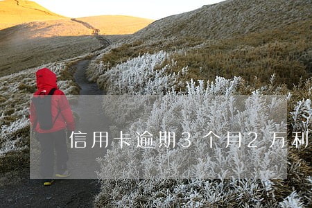 信用卡逾期3个月2万利息多少 信用卡逾期3个月2万利息多少