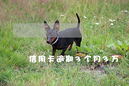 信用卡逾期3个月3万 信用卡逾期3个月3万