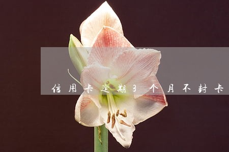 信用卡逾期3个月不封卡