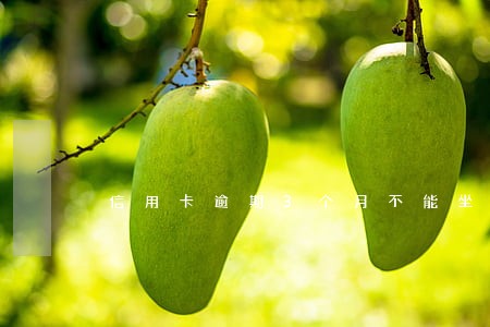 信用卡逾期3个月不能坐高铁吗 信用卡逾期3个月不能坐高铁吗