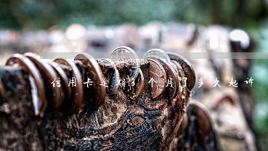信用卡逾期3个月了多久起诉 信用卡逾期3个月了多久起诉