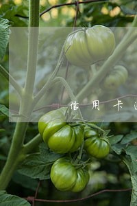 信用卡逾期3个月以内爆通讯录 信用卡逾期3个月以内爆通讯录