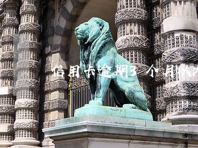 信用卡逾期3个月以内能坐飞机吗 信用卡逾期3个月以内能坐飞机吗