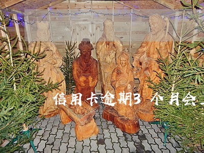 信用卡逾期3个月会上征信嘛