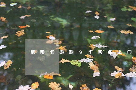 信用卡逾期3个月会上门么 信用卡逾期3个月会上门么