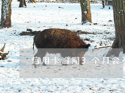 信用卡逾期3个月会不会拘留 信用卡逾期3个月会不会拘留