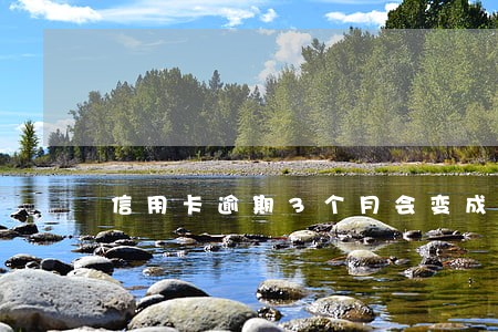 信用卡逾期3个月会变成黑户吗 信用卡逾期3个月会变成黑户吗