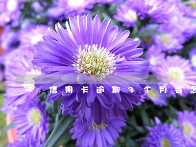 信用卡逾期3个月会怎样
