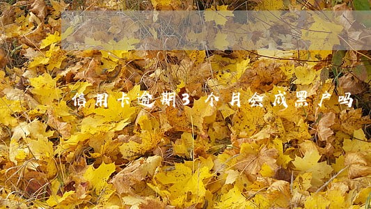 信用卡逾期3个月会成黑户吗 信用卡逾期3个月会成黑户吗