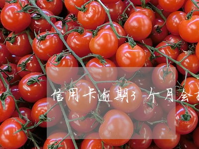 信用卡逾期3个月会拘留吗