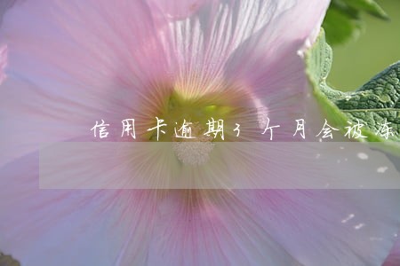信用卡逾期3个月会被冻结吗