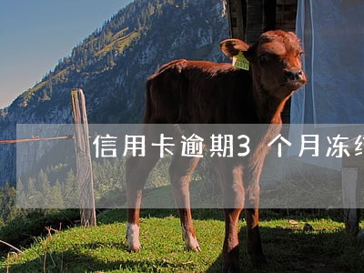 信用卡逾期3个月冻结了会怎么样