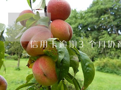 信用卡逾期3个月协商还款 信用卡逾期3个月协商还款