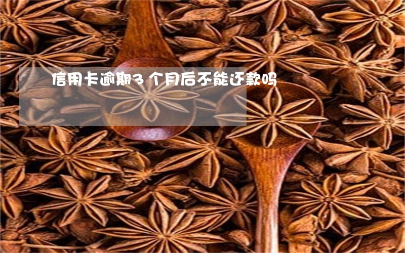 信用卡逾期3个月后不能还款吗