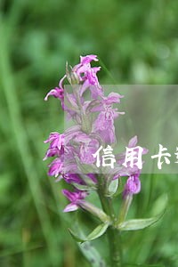 信用卡逾期3个月后面陆续还钱进去有用吗 信用卡逾期3个月后面陆续还钱进去有用吗