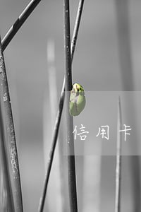 信用卡逾期3个月多久消除 信用卡逾期3个月多久消除