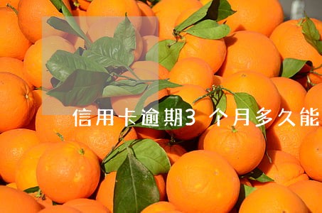 信用卡逾期3个月多久能消除 信用卡逾期3个月多久能消除