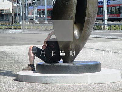 信用卡逾期3个月如何协商停息 信用卡逾期3个月如何协商停息
