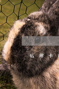 信用卡逾期3个月忘了 信用卡逾期3个月忘了