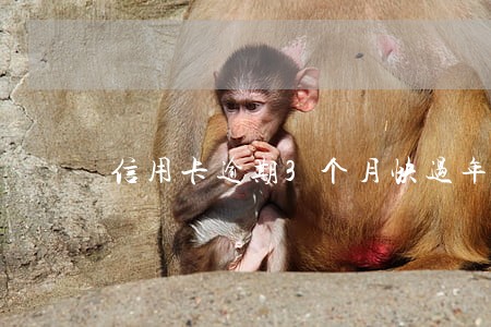 信用卡逾期3个月快过年了 信用卡逾期3个月快过年了