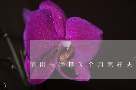 信用卡逾期3个月怎样去沟通