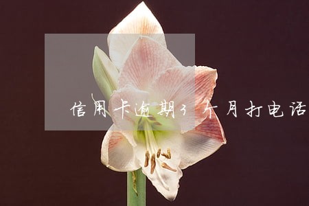 信用卡逾期3个月打电话催还