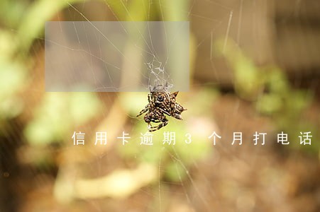 信用卡逾期3个月打电话怎么投诉 信用卡逾期3个月打电话怎么投诉