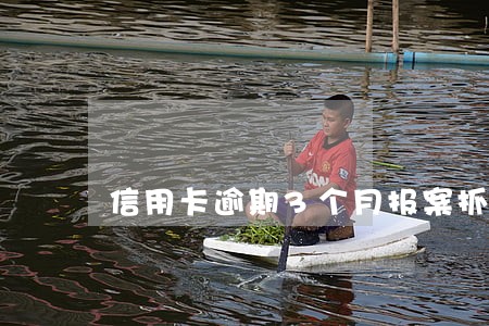 信用卡逾期3个月报案抓人吗