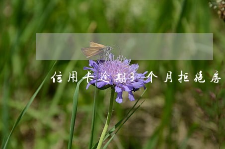信用卡逾期3个月拒绝房贷 信用卡逾期3个月拒绝房贷