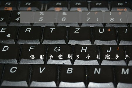 信用卡逾期3个月按多少钱收费 信用卡逾期3个月按多少钱收费