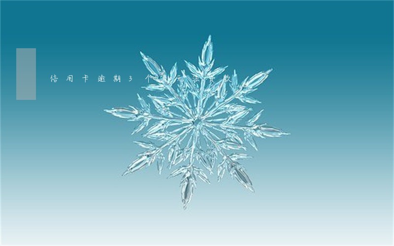 信用卡逾期3个月无法贷款