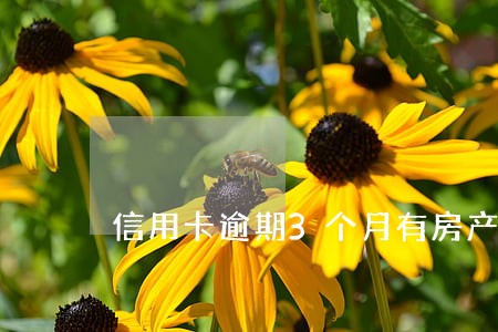 信用卡逾期3个月有房产 信用卡逾期3个月有房产