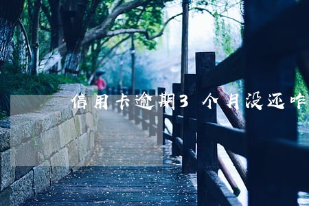 信用卡逾期3个月没还咋办