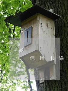 信用卡逾期3个月申请分期 信用卡逾期3个月申请分期