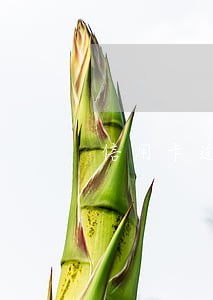 信用卡逾期3个月的贷款利率 信用卡逾期3个月的贷款利率