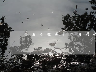 信用卡逾期3个月罚金 信用卡逾期3个月罚金