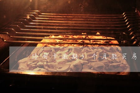 信用卡逾期3个月能买房不 信用卡逾期3个月能买房不