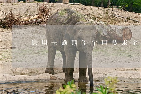 信用卡逾期3个月要求全额还 信用卡逾期3个月要求全额还