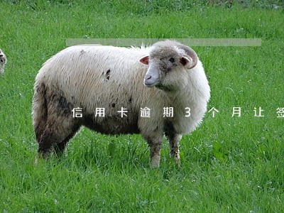 信用卡逾期3个月让签字 信用卡逾期3个月让签字