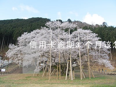 信用卡逾期3个月该怎么办 信用卡逾期3个月该怎么办